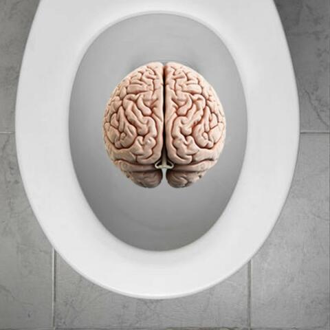 My Mind Is Like A Flushing Toilet