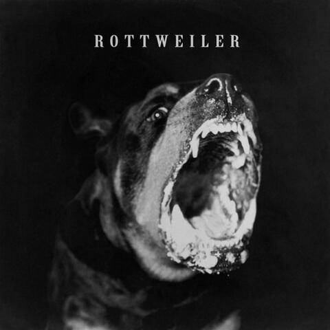 Real Watts Baby ROTTWEILER Jersey Club