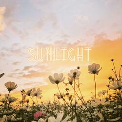 Sunlight