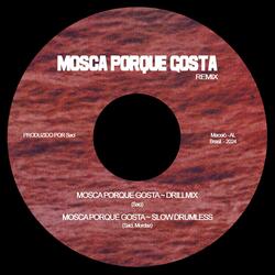 Mosca porque gosta (SLOW DRUMLESS)