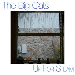 Up for Steam
