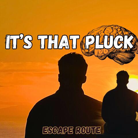 It's That Pluck