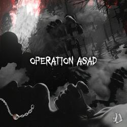 Operation asad