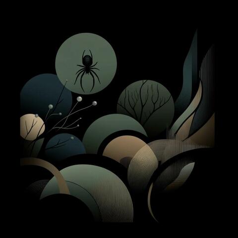 Spiders