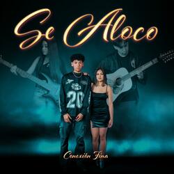 Se Alocó