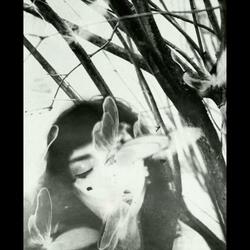 its not the same anymore