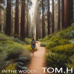 In The Woods