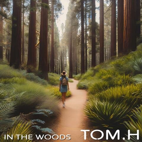 In The Woods