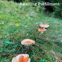 Awaiting Fulfillment