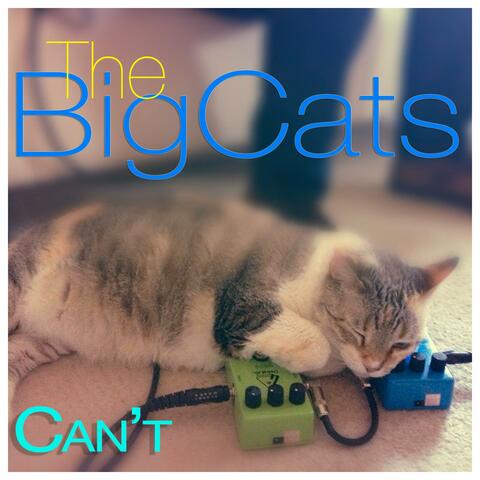 Can't