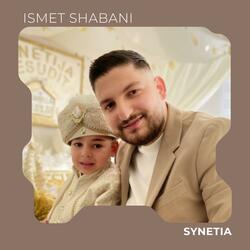 Synetia
