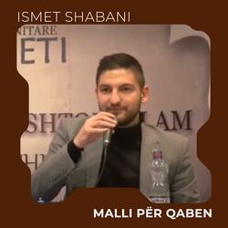 Malli për qaben