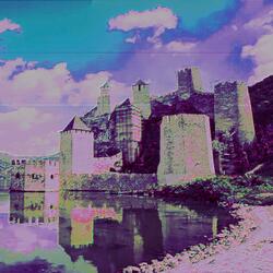 I want a newport so bad