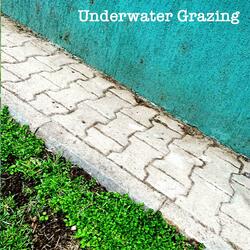 Underwater Grazing