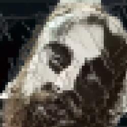 The Waterloo Terrier Demo