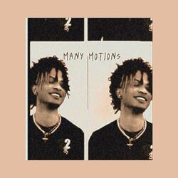 Many Motions