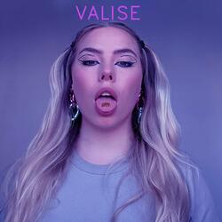 Valise
