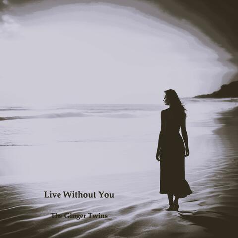 Live Without You