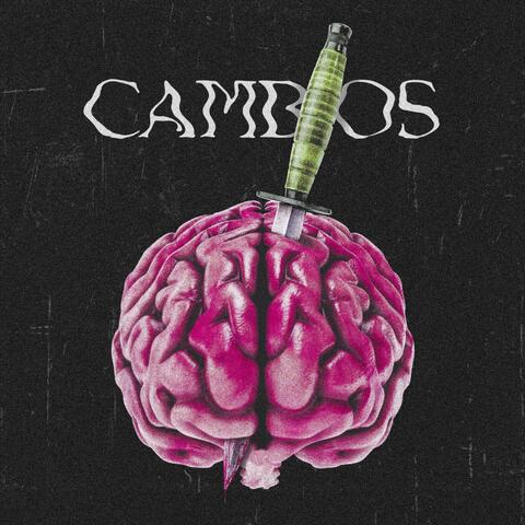 Cambios
