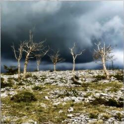 Memory of an abandoned aquarium