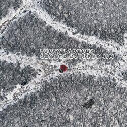 Lucky Ladybug [Lift You Up]