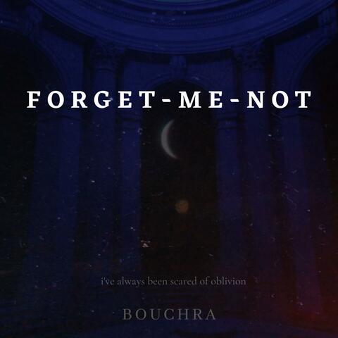 forget-me-not