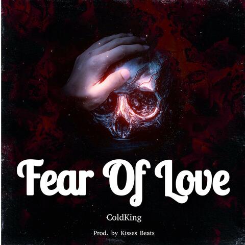 Fear Of Love