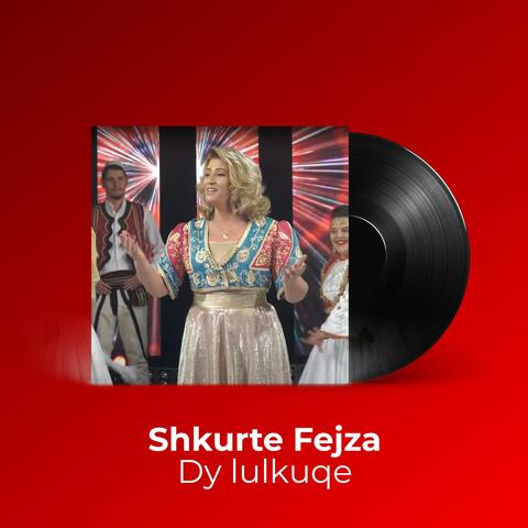 Dy lulkuqe