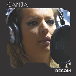 Besom