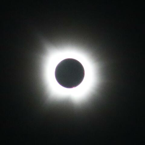 Alive on the Outside.