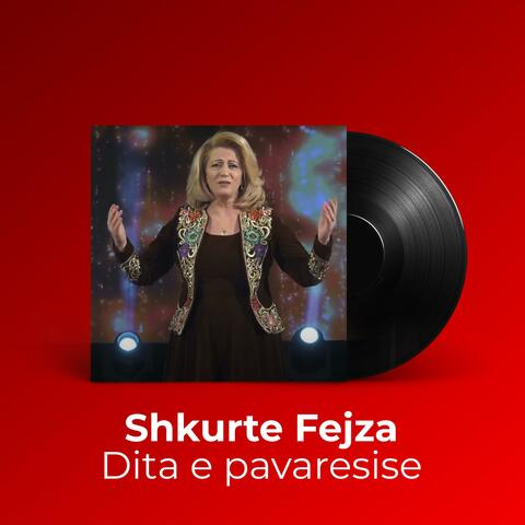 Dita e pavaresise