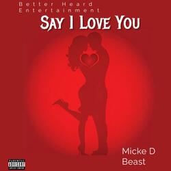 Say I Love U