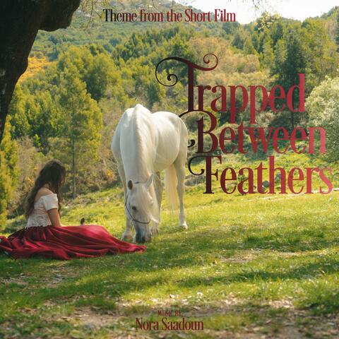 Trapped between feathers (Theme from the Short Film)