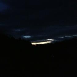 Walking Fearless In The Dark