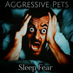 Sleep Fear
