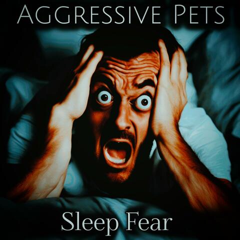 Sleep Fear