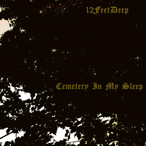 Cemetery In My Sleep