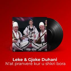 N'at pranverë kur u shkri bora