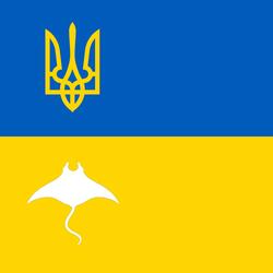 Ukrainian Fight Song