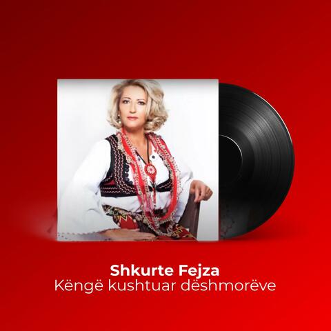 Këngë kushtuar dëshmorëve