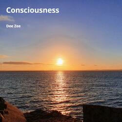Consciousness