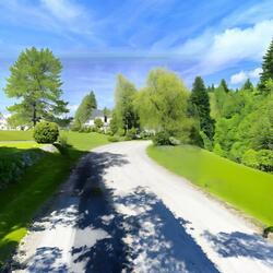 Wood She Run Through The Corn?