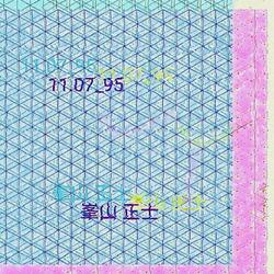 11.07_95