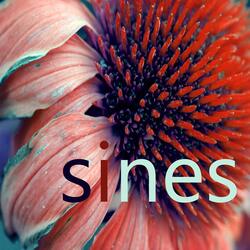 Sines