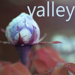 Valley