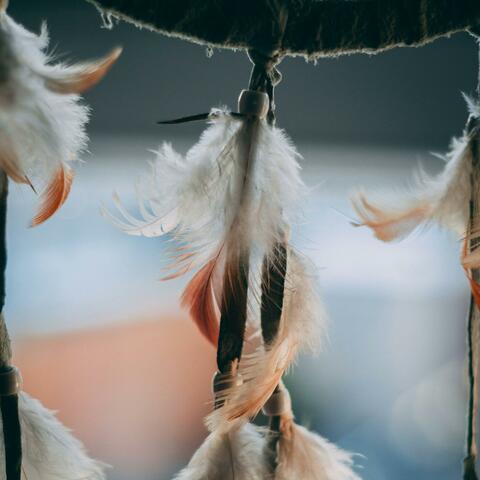 Fractal Freedom