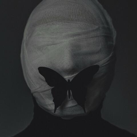 Shadows