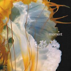 moment