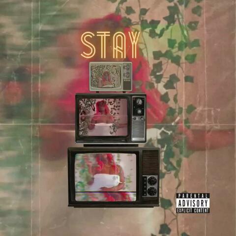 STAY