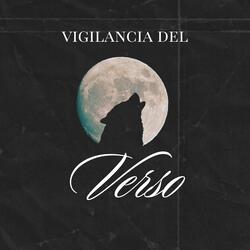 VIGILANCIA DEL VERSO